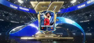 Túi Mù FCM 210k