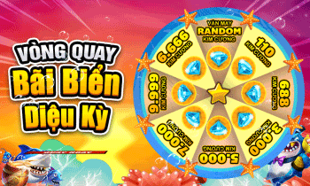 VÒNG QUAY BÃI BIỂN